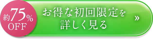 お得な初回限定を詳しく見る